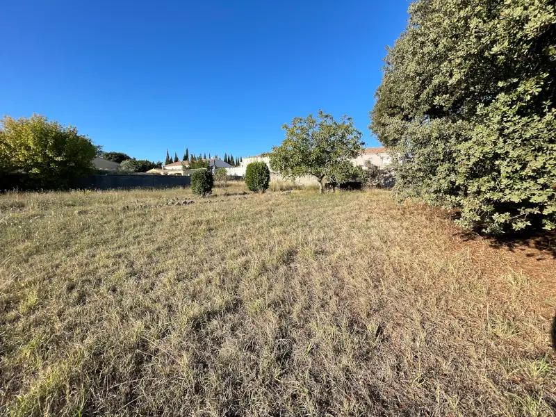 Terrain